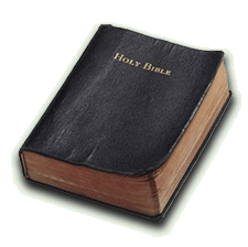 Bible Book Club